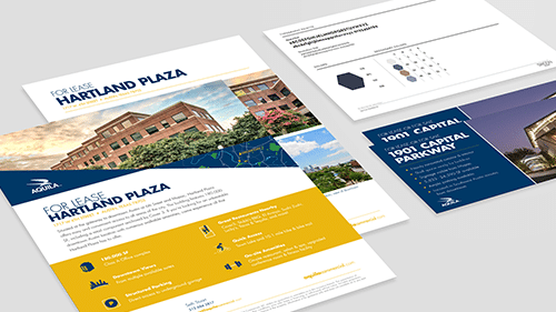 Full color flyers and promo material for Heartland Plaza