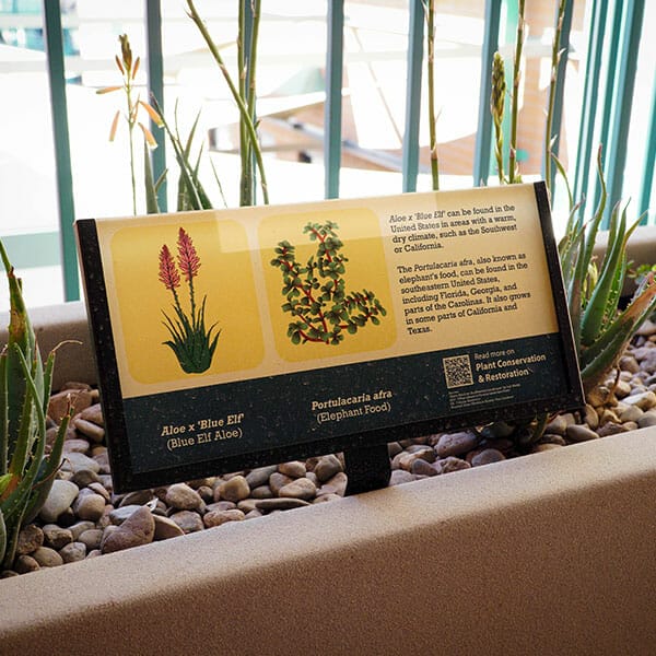 Information plaque printed with images and educational information about plant species.