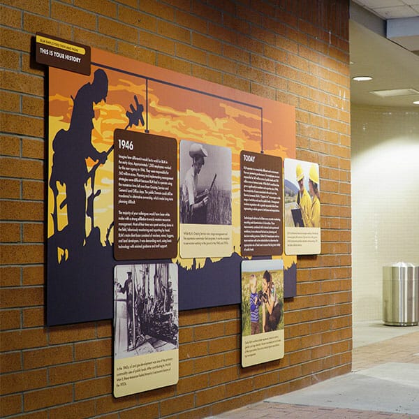 Informational wall mural with historical data installed on a interior brick wall.