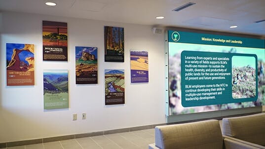 Large interior informational wall mural next to 7 smaller colorful informational prints.