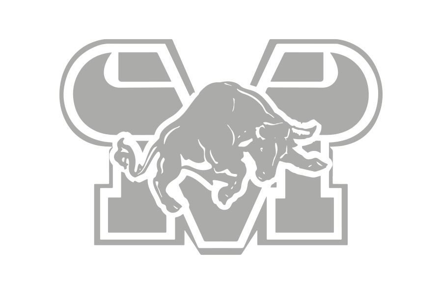 Grey Mountain View sports logo.